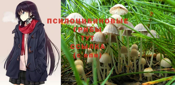 PSILOCYBIN Абдулино
