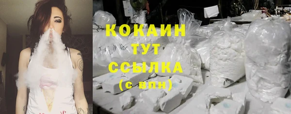 мдпв Осинники