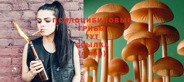 PSILOCYBIN Абдулино