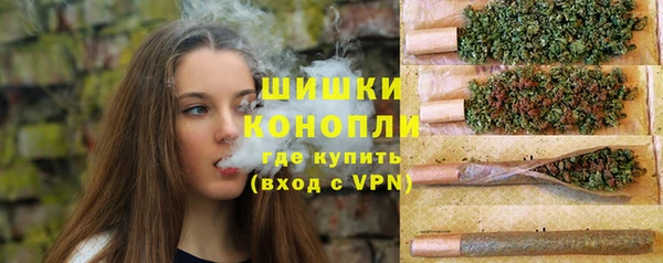 PSILOCYBIN Абдулино
