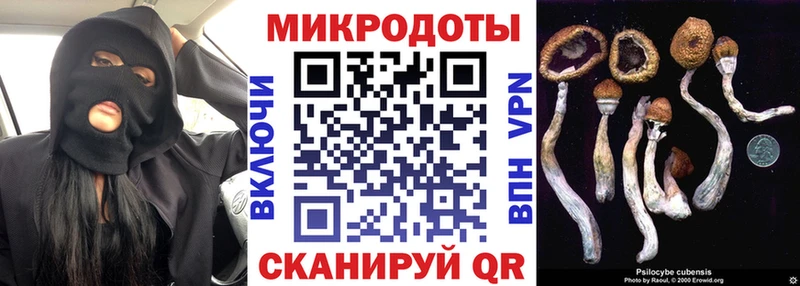 Псилоцибиновые грибы мухоморы  где купить наркоту  Ряжск 